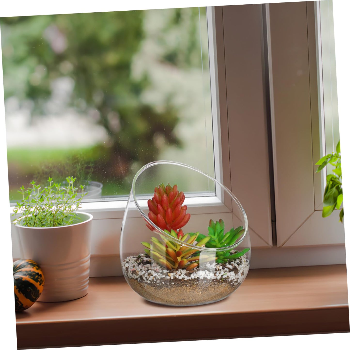 1pc Bottle Ornament Lifelike Landscape Glass Terrarium for Home Use for Moss and Decorative Plants