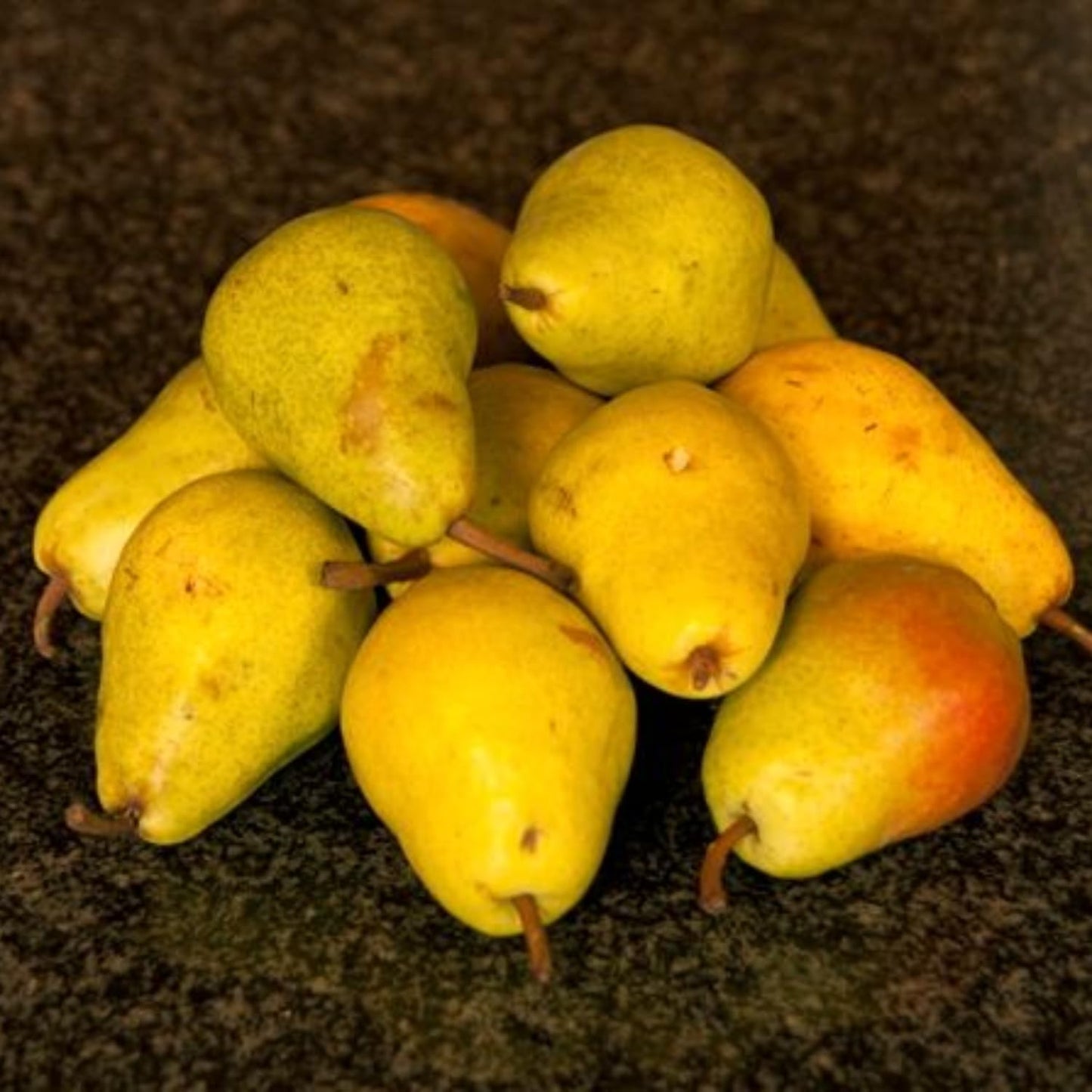 9 Months Old Pear Tree Live Plant for Spring Planting, Pineapple Pears 8-10 Inches in Tall, No Pot, Dormant in Winter, No Leaf, Cold Hardy Pear Home Orchard Yard