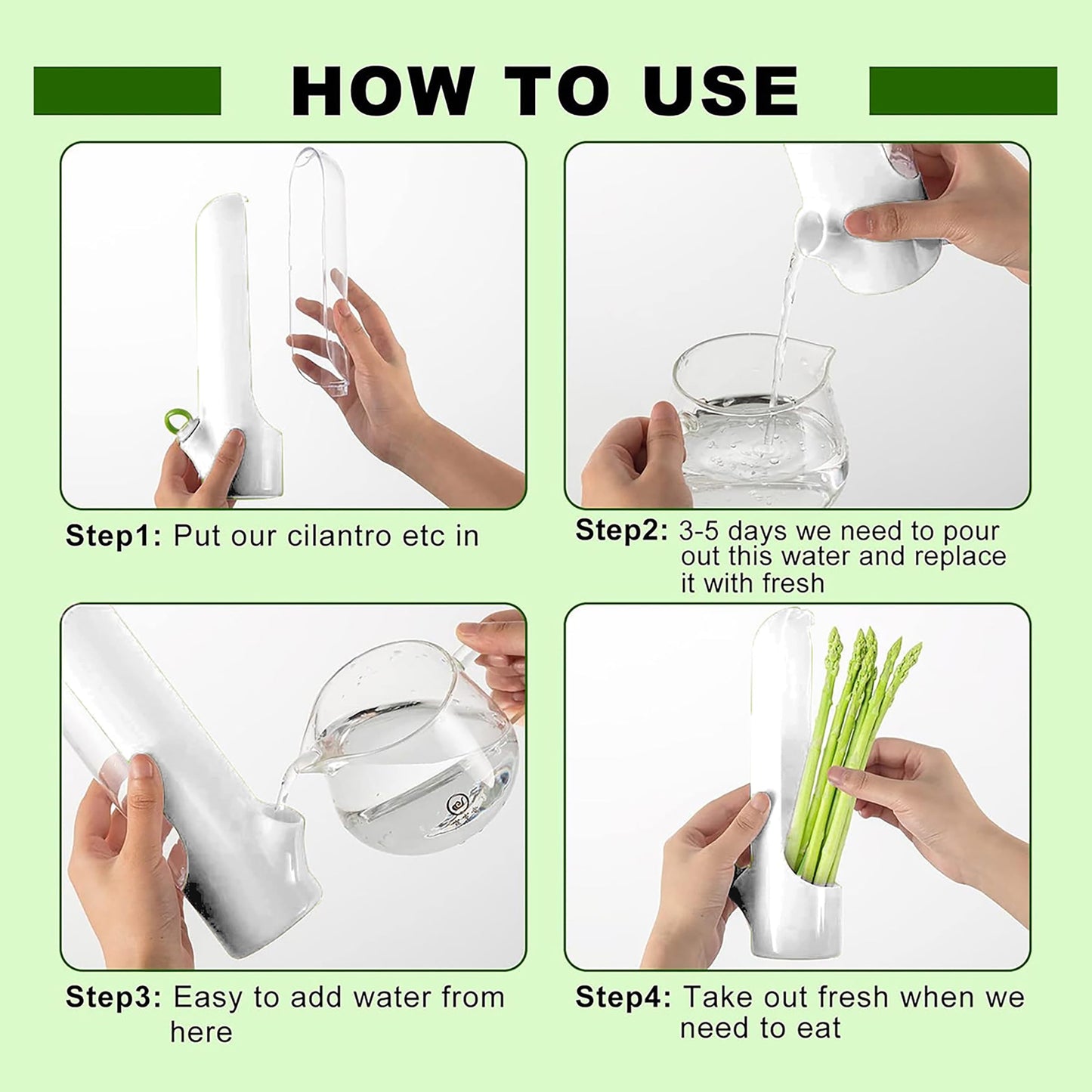 Ristpal 3Pack Herb Saver for Refrigerator for Cilantro, Parsley, Asparagus, Mint,Vegetable Preservation Containers, Keeps Greens Vegetables for 2-3 Weeks
