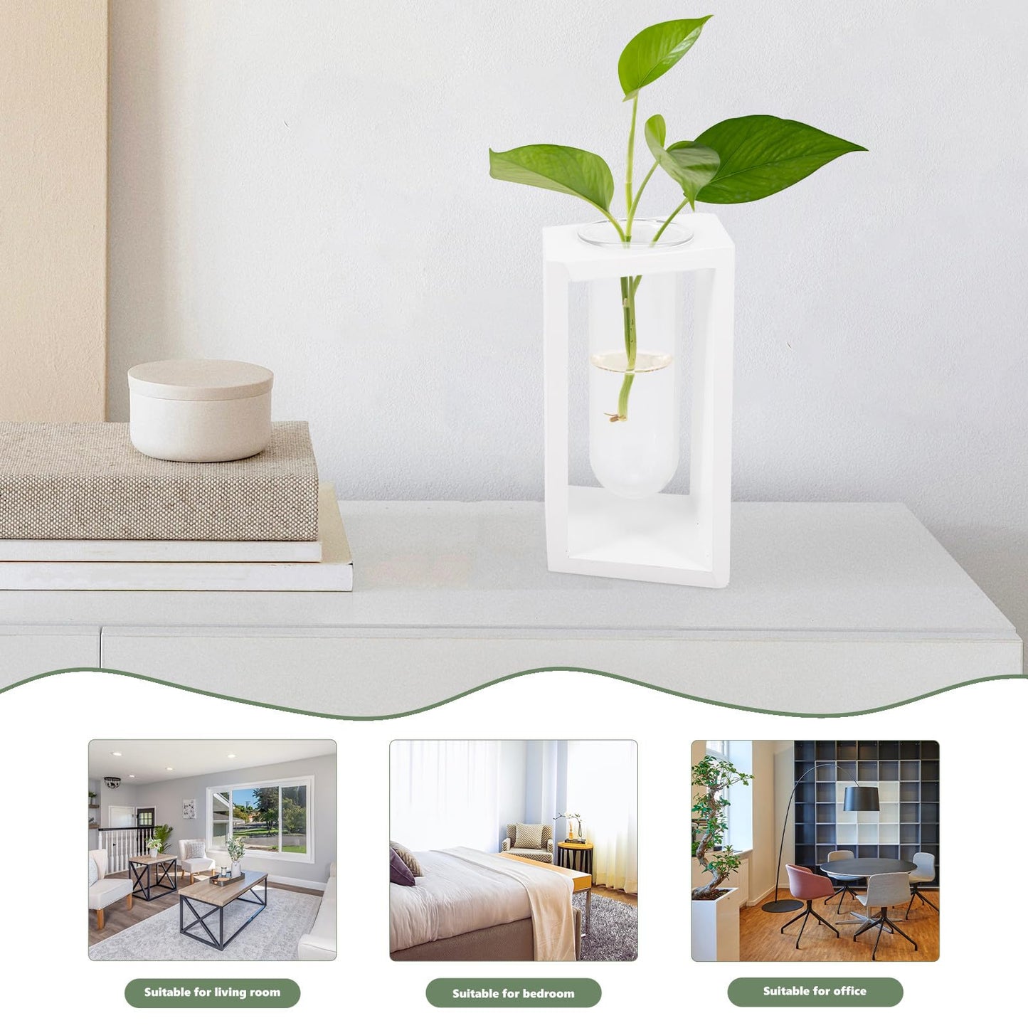minkissy Test Tube Glass Vase with White Wooden Rack Small Hydroponic Plant Holder for Indoor Wall Garden Terrarium Home Décor