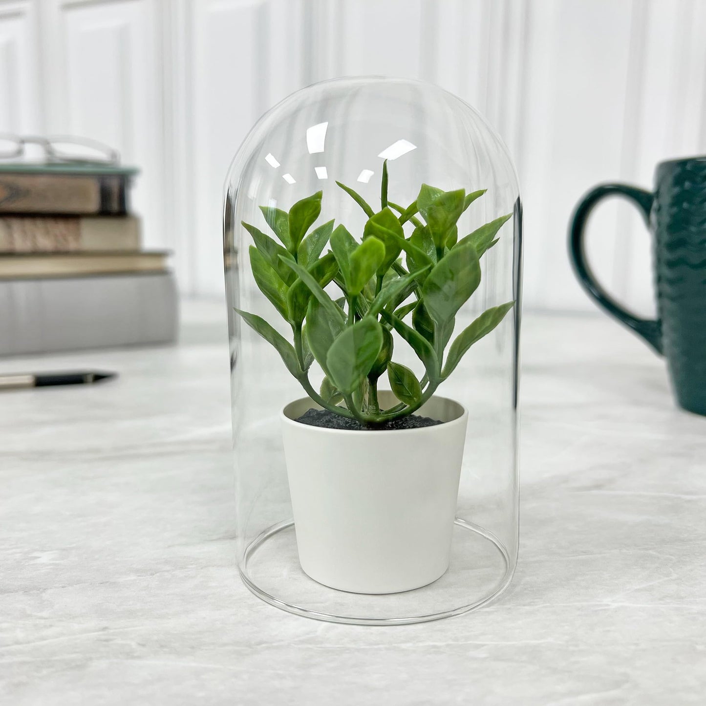 Plymor 3" x 5" Glass Display Dome Cloche (no Base)