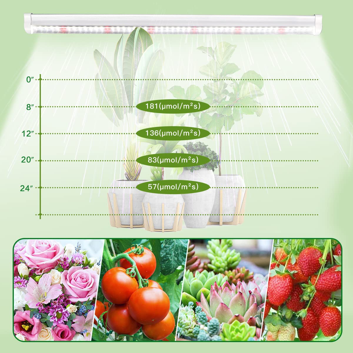 GYTF T5 LED Grow Lights, 306-Bulbs 5000K White Full Spectrum Plant Growing Lamp Bars for Indoor Plants Seedling Hydroponics, Daisy-Chain Design (6 x 10W, 300W Equivalent)
