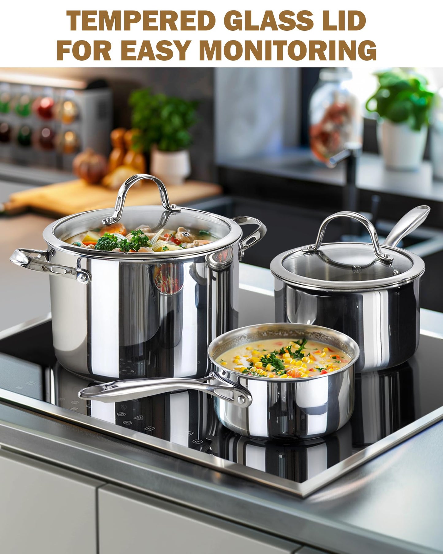 Cooks Standard Stainless Steel Stock Pot, 8-Quart Multi-Ply Clad Cooking Canning Pot with Lid, Induction Stockpot, Silver