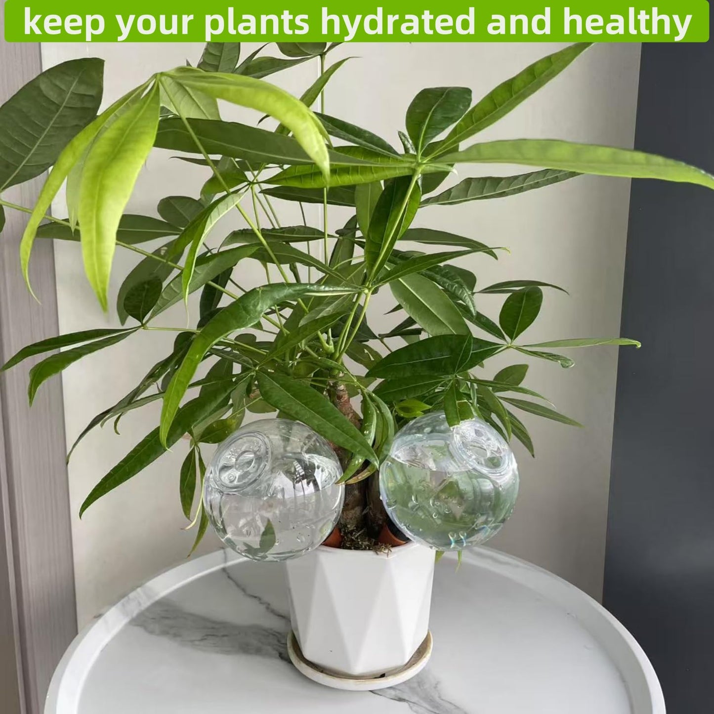 2 Pack Self Watering Globes for Indoor & Outdoor Plants – 17oz Automatic Water Bulbs for Indoor Plants–Slow Release Control Water Dripper for Plants – Plant Watering Devices While Away