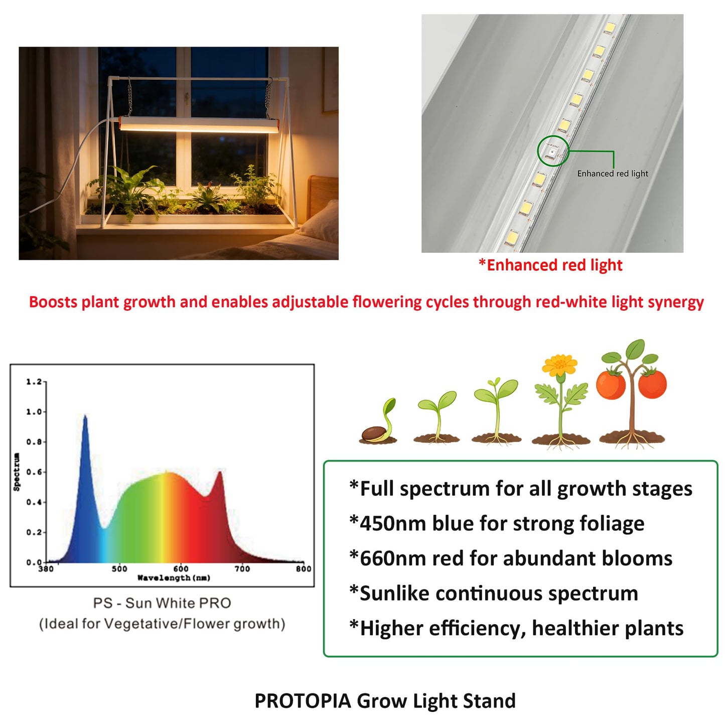 PROTOPIA 10W Grow Light Stand Kit for Indoor Plants, 2ft Plant Grow Rack with Full Spectrum, Enhanced Red Light for Flowering, Height Adjustable Iron Bracket, on and Off Switch