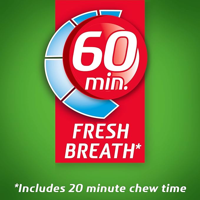 Dentyne Ice Spearmint Sugar-Free Chewing Gum, 9 Packs of 16 Pieces (144 Total Pieces)