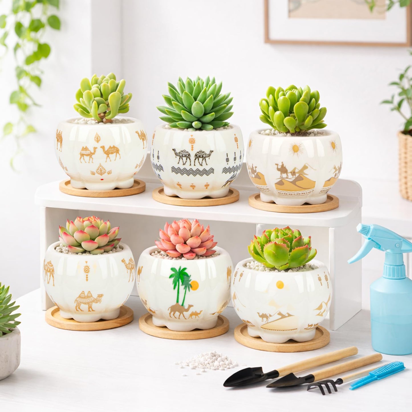 Succulent Pots - 3.1 Inch Small Plant Pots with Drainage Tray, Ceramic Flower Pots for Indoor Plants, 6 Pack Succulent Planters for Cactus Plants, Home Office Decor
