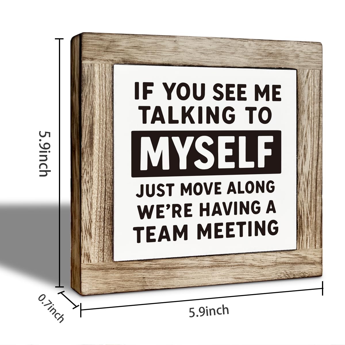 If You See Me Talking to Myself We're Having a Team Meeting Desk Decorative, Funny Office Table Sign, Art Home Office Shelf Desk Decor, Table Decoration Gift 5.9×5.9 inch
