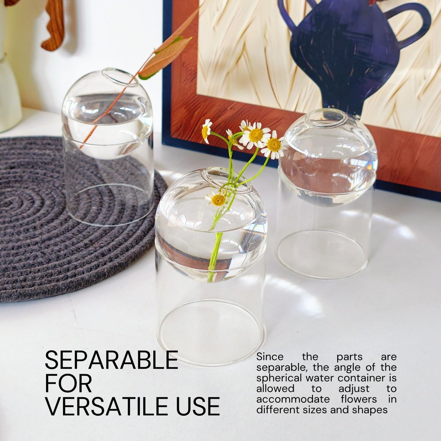 3-Pack Glass Plant Propagation Station, Planter Hydroponics Vase, Clear Glass Vase Set | Bud Vase & Mini Terrarium with Removable Base