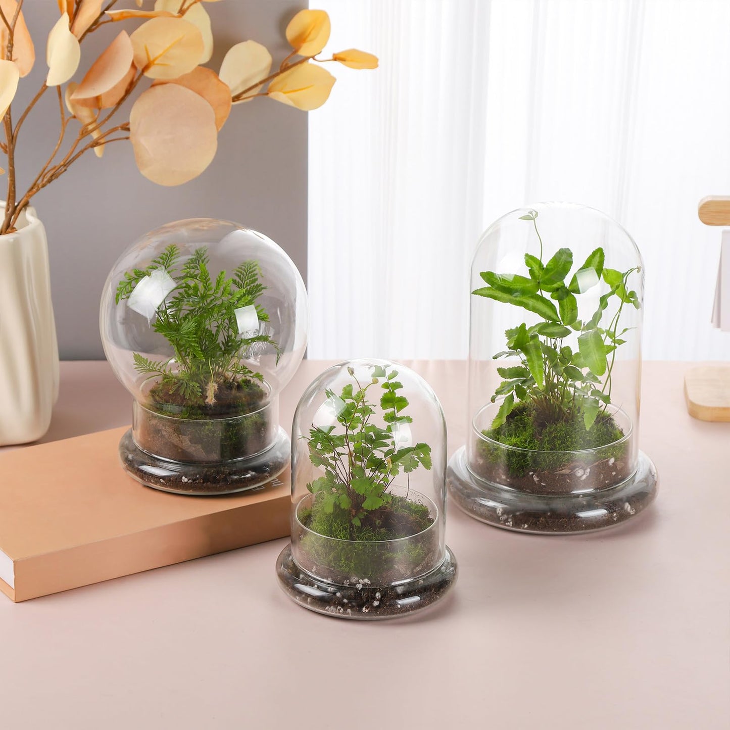 WHJY 8 inches Glass Cloche for Indoor Plants Small Terrarium Glass Cloche with Base Mini Cloche Dome with Base for Display Home Decor
