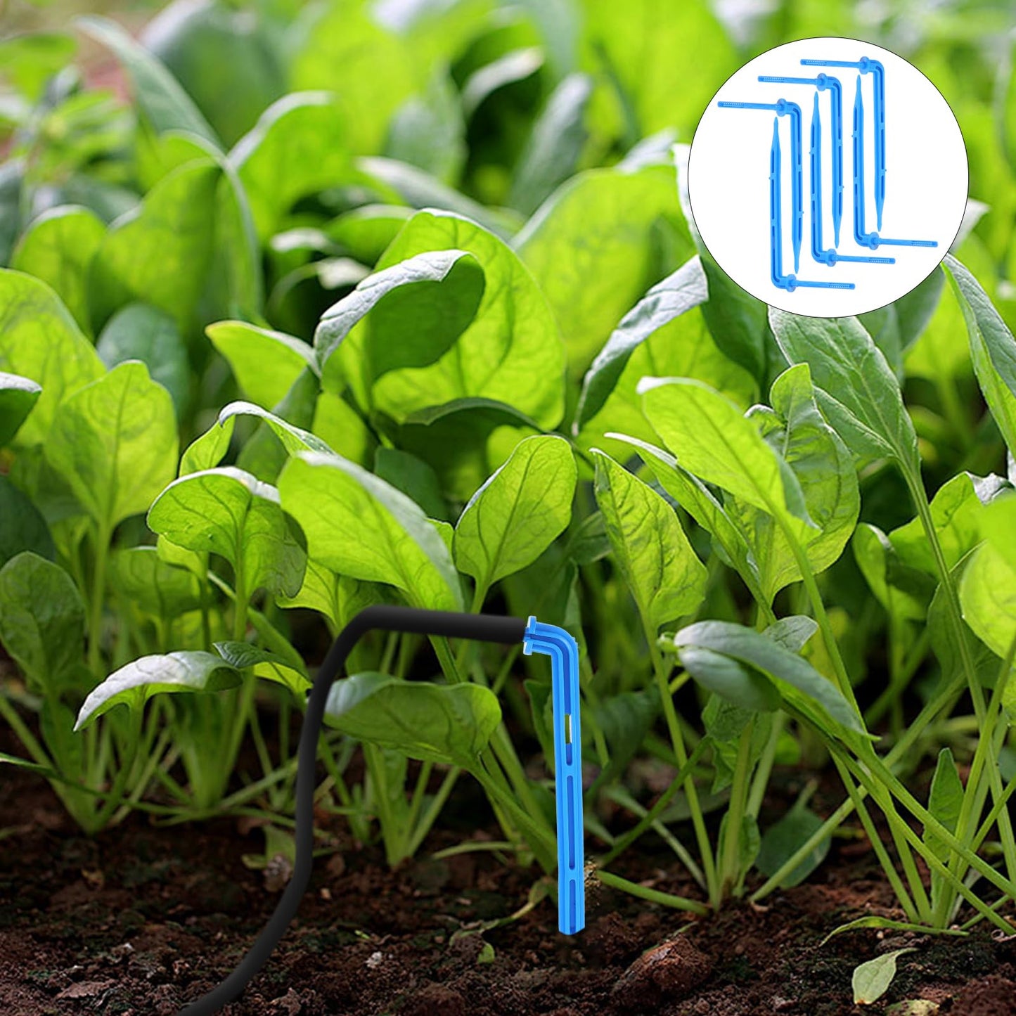 GANAZONO Drip Emitters Emitters Drip Emitter Stakes 100PCS Angled Plastic Irrigation Support Stakes Drip Tubing Hold Stakes for Gardening Patio Lawn Vegetable Fruit