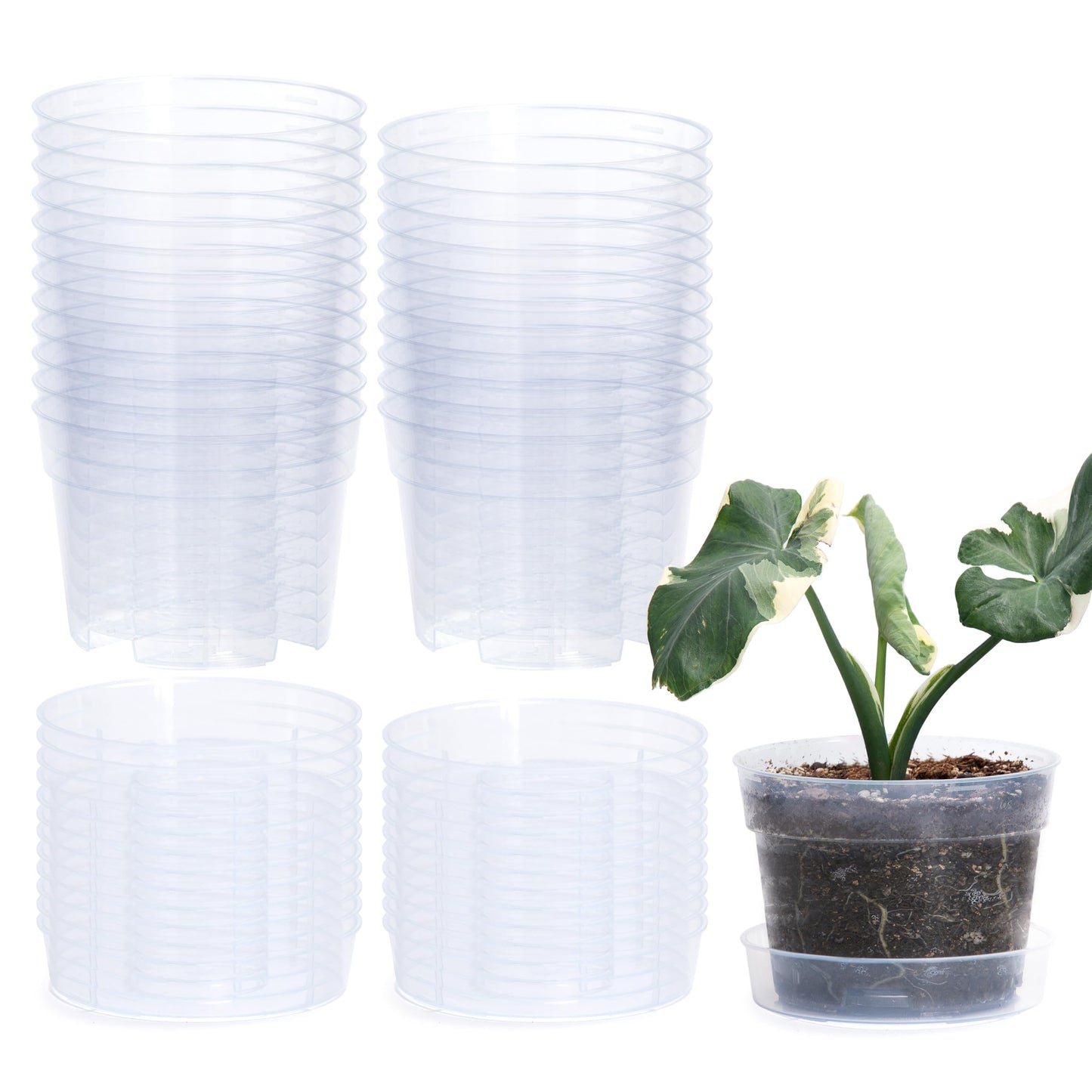 6 Inch Clear Plastic Plant Pot with Drainage Holes, Interlocking & Detachable Tray - Deep Saucer - Durable BPA-Free Plastic, Transparent Design, Raised Base for Airflow, Set of 24, 92-X-C-4