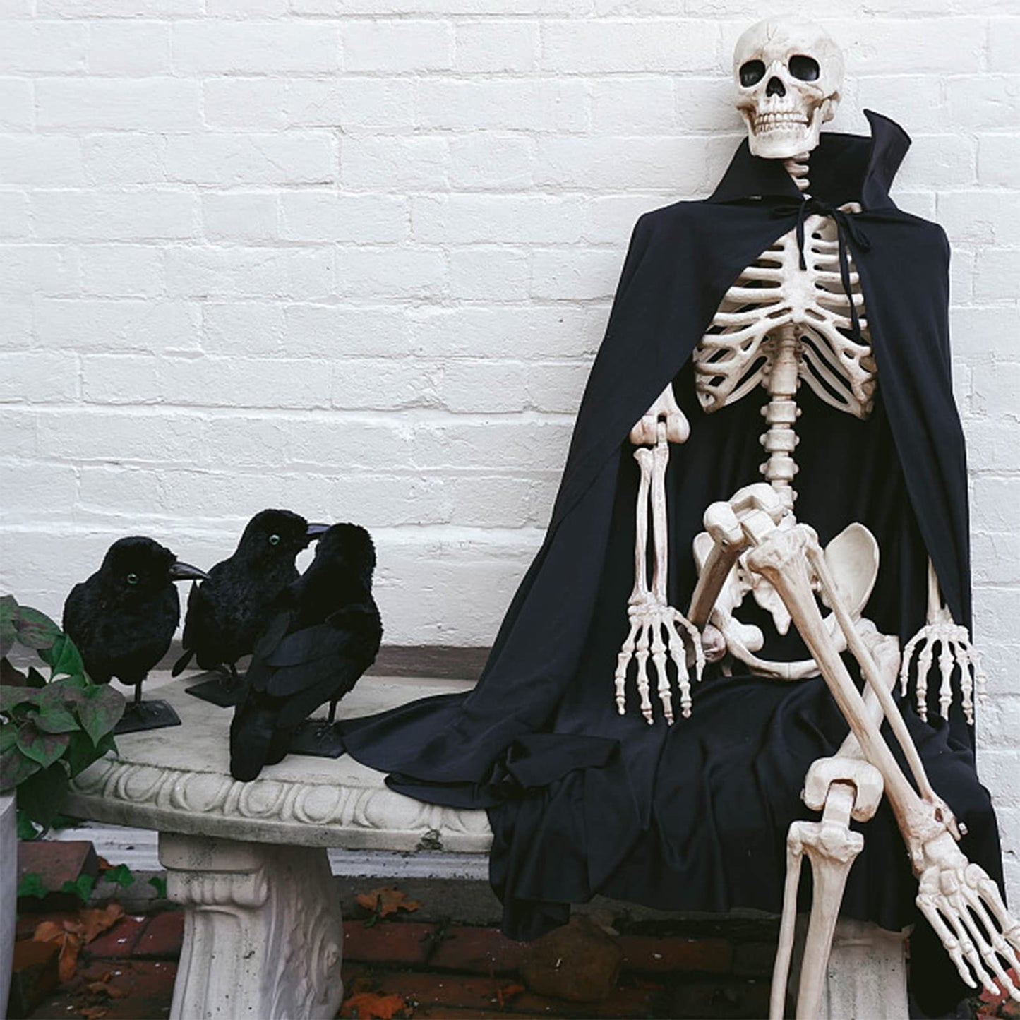 Wakdiz Halloween Realistic Black Crows 6 Pieces Handmade Feathered Crow Ravens, Fake Black Birds Prop Stand Crows for Halloween Outdoors and Indoors Crow Decoration