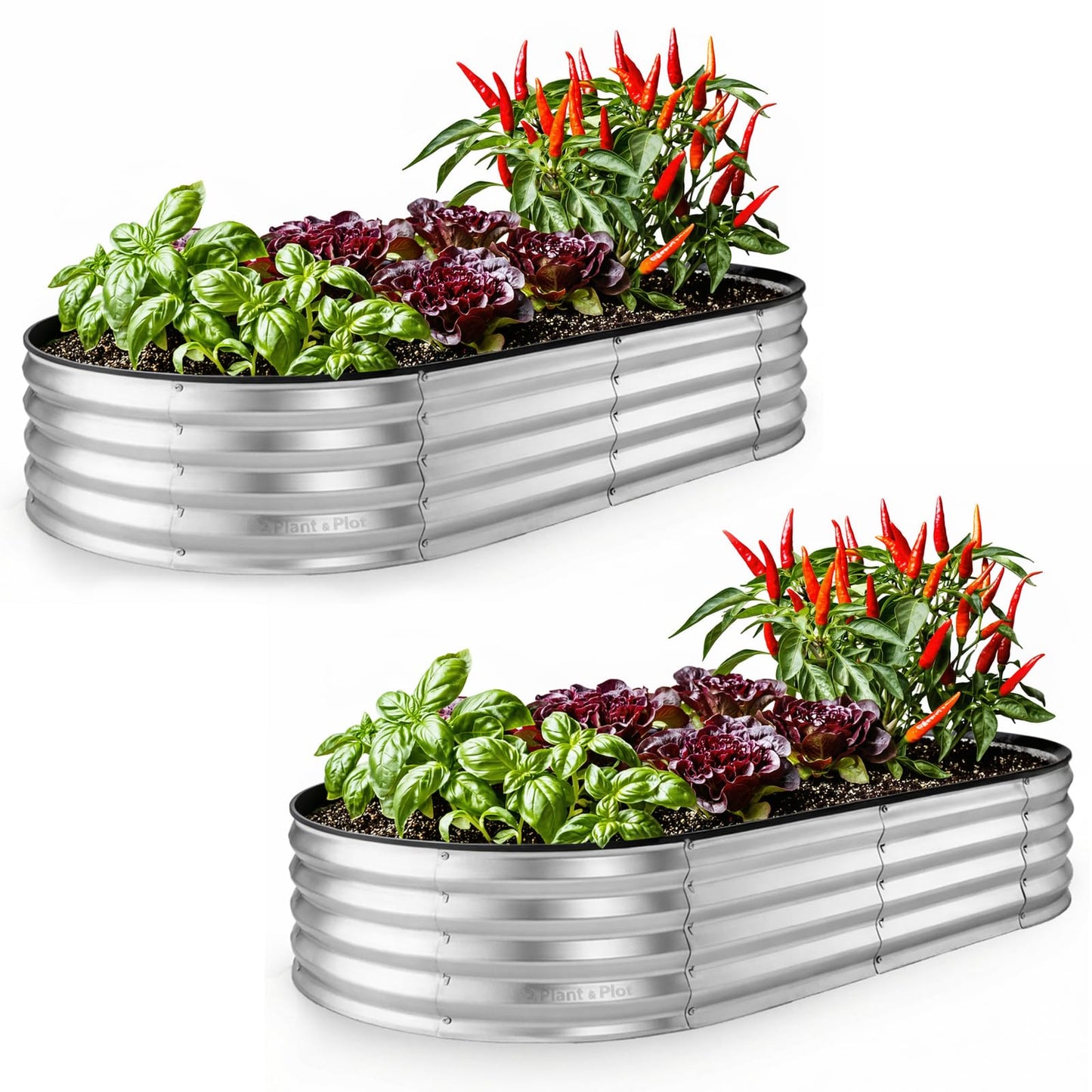 Plant & Plot Galvanized Raised Garden Beds Outdoor // 6×3×1 ft (2-Pack) Planter Raised Beds for Gardening, Vegetables, Flowers // Large Metal Garden Box // Patented Tool-Free Design (Silver)