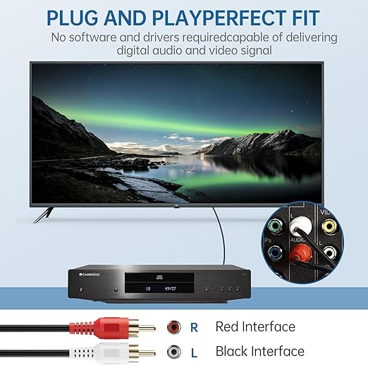 Sjorks RCA Cable 10ft,2RCA Male to 2RCA Male,Audio Stereo Subwoofer Cable [Hi-Fi Sound] Auxiliary Audio Cord for Home Theater, HDTV, Amplifiers, Hi-Fi Systems,Speakers and etc