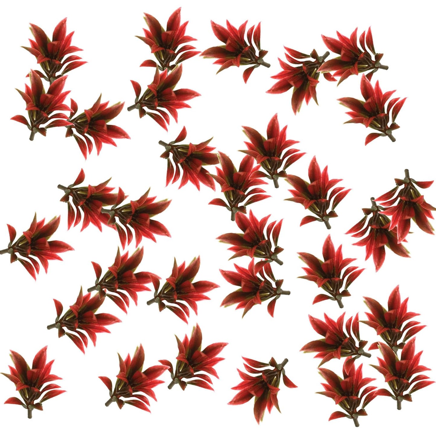 OrgMemory Mini Model Grass, 200 Pcs, Mixed Model Plants, Miniature Plants for School Project DIY Miniature Colorful Flower