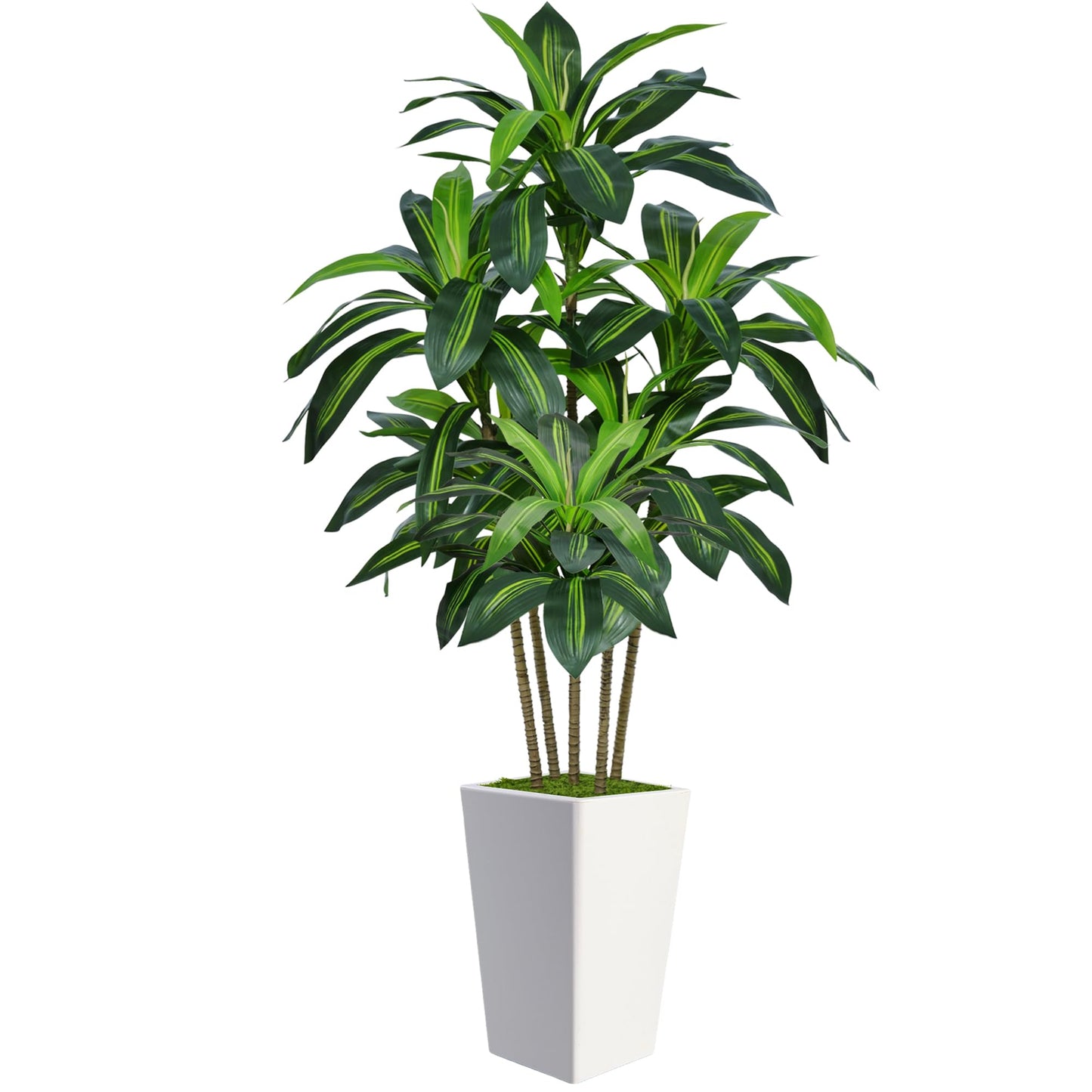 6FT Artificial Dracaena Tree, Fake Tree Indoor with White Tall Planter,Tall Artificial Plants Indoor,Artificial Silk Tree for Home Office Decor (White)