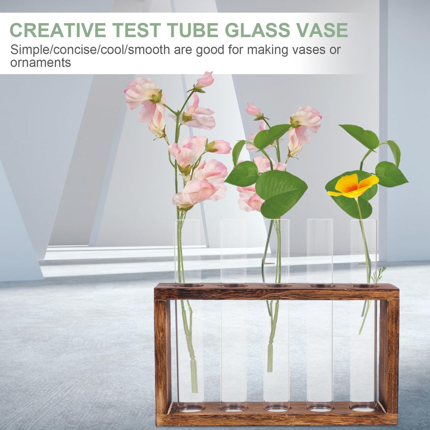 LALAFINA Glass Test Tube Vase Large Hydroponic Planter Container for Water Propagation Indoor Plants Terrarium Home Décor