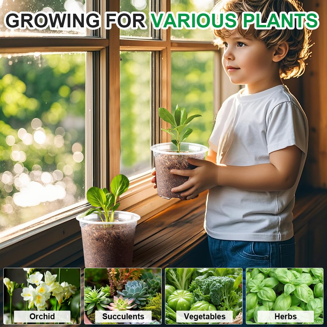 RooTrimmer 100 Pack 4 Inch Clear Plant pots with Drainage Holes, Transparent Nursery Seeding Pots, Flexile Seeds Starter Pots, Seeds Germination (4Inch,100P,Clear)