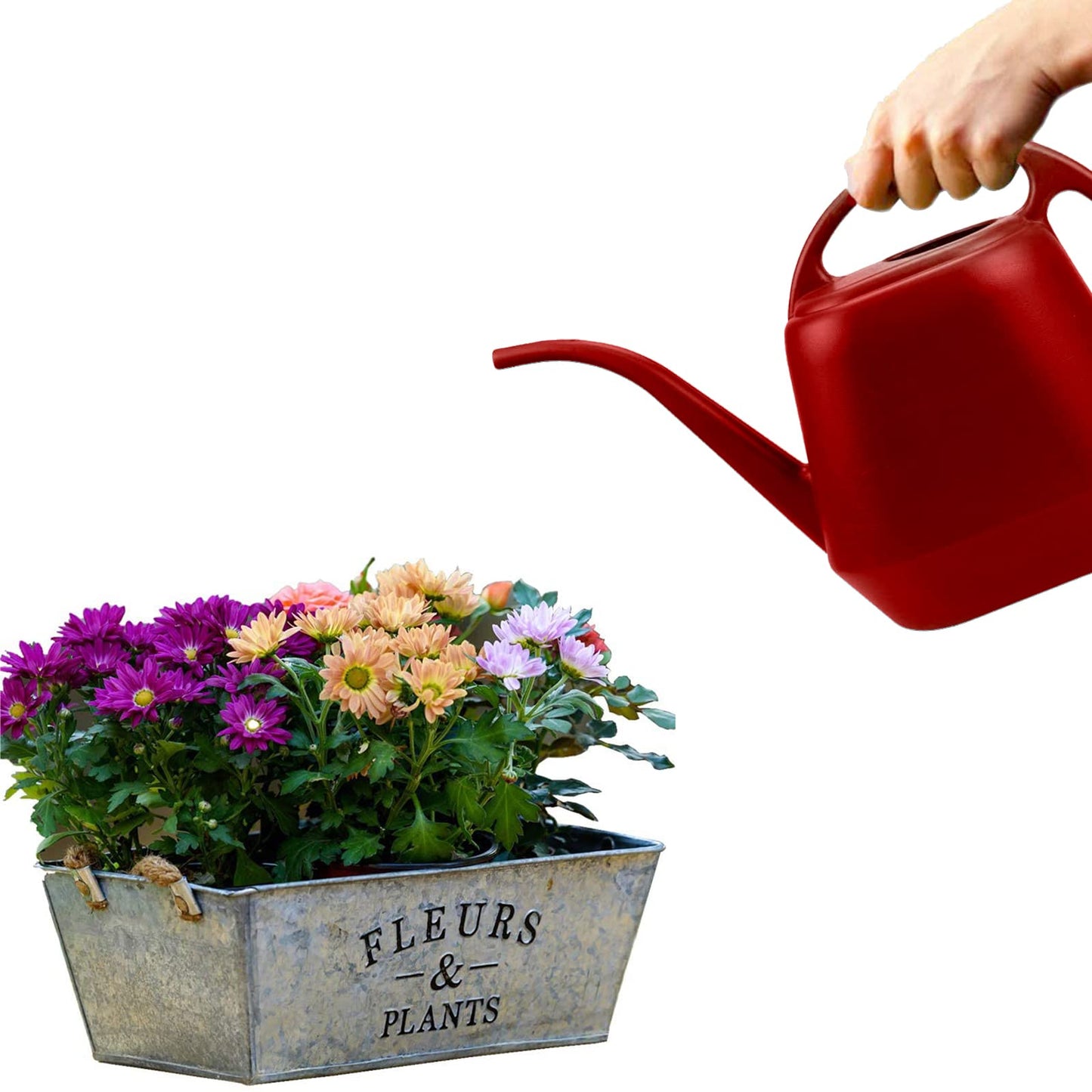 Fasmov Plastic Watering Can, Burnt Red, 1-Gallon