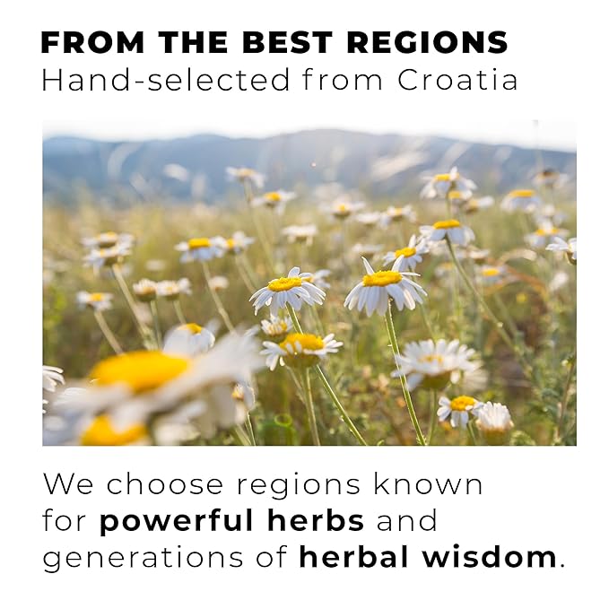 Chamomile, Loose Leaf 100 Tea Bags The Finest Blooms from Croatia