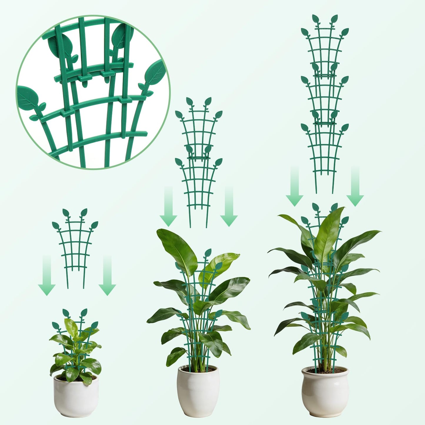 Ehpiern Trellis for Potted Plants (12)