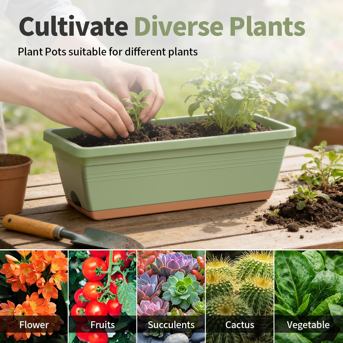 LESOASIS Window Box Planter, 6 Pack Plastic Vegetable Flower Window Planters Boxes 16 Inches Rectangular Flower Pots with Drainage Holes and Saucers (Green)