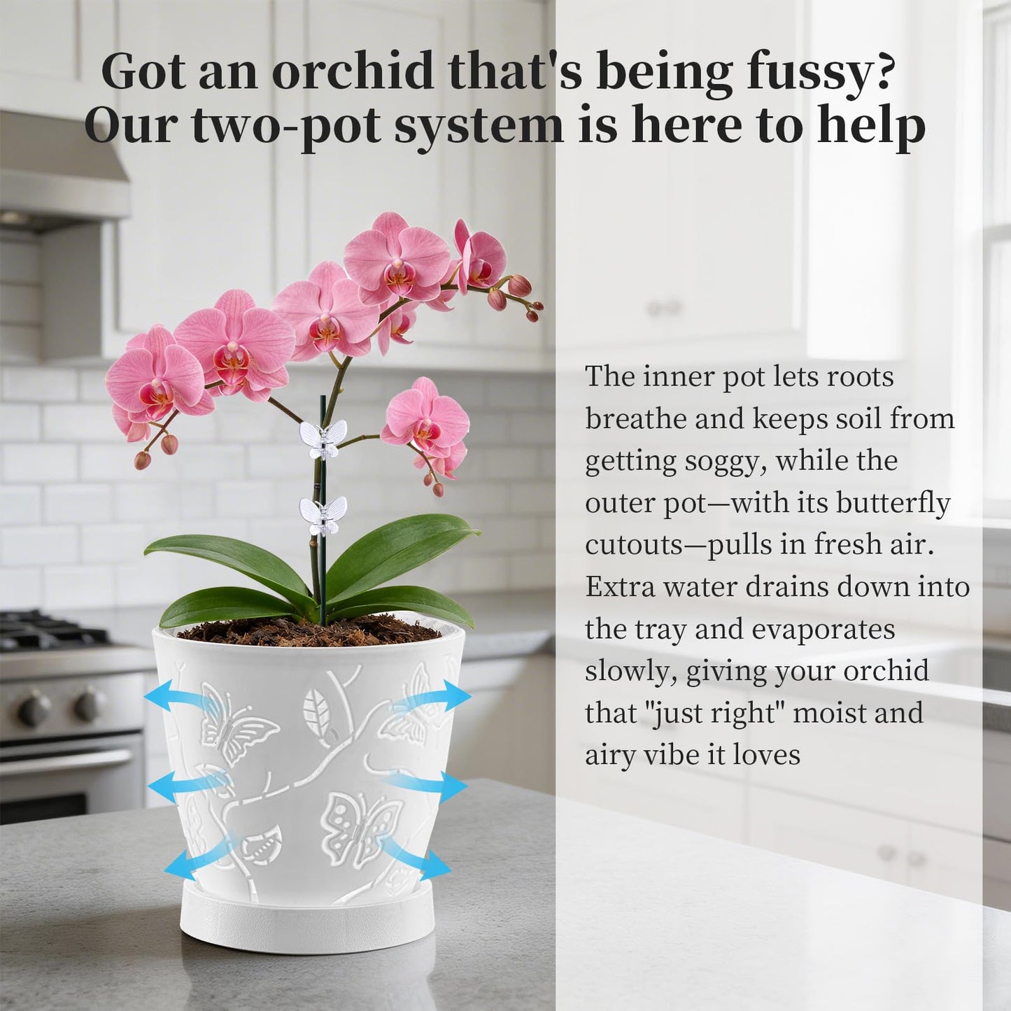 LinyAlmY 2Pack Cutouts Orchid Pots for Indoor Plants,5.75 Inch Clear Small Orchid Pots with Holes for Repotting Kit,Macetas para Orqudeas(White)