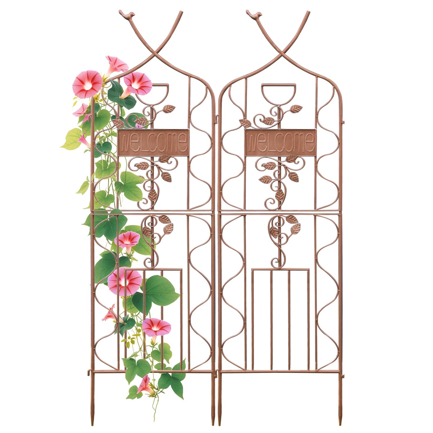 LZRS 2 Pack 59.5 * 18in Rustic Iron Arch Decoration Garden Trellis with Metal Coating – Perfect for Supporting Climbing Plants Outdoor, Roses, Vines, Flowers, and Vegetables, Brown