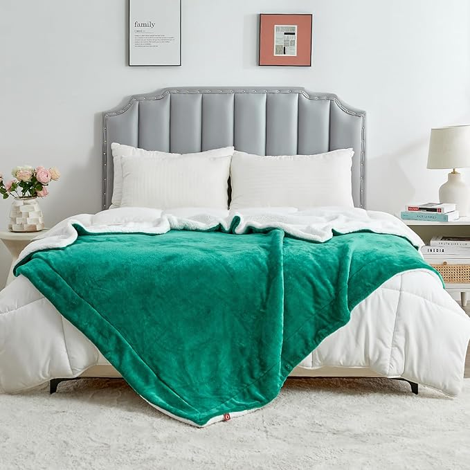 SOCHOW Sherpa Fleece Throw Blanket, Double-Sided Super Soft Luxurious Plush Blanket Throw Size, Malachite Green, 50x60 inches