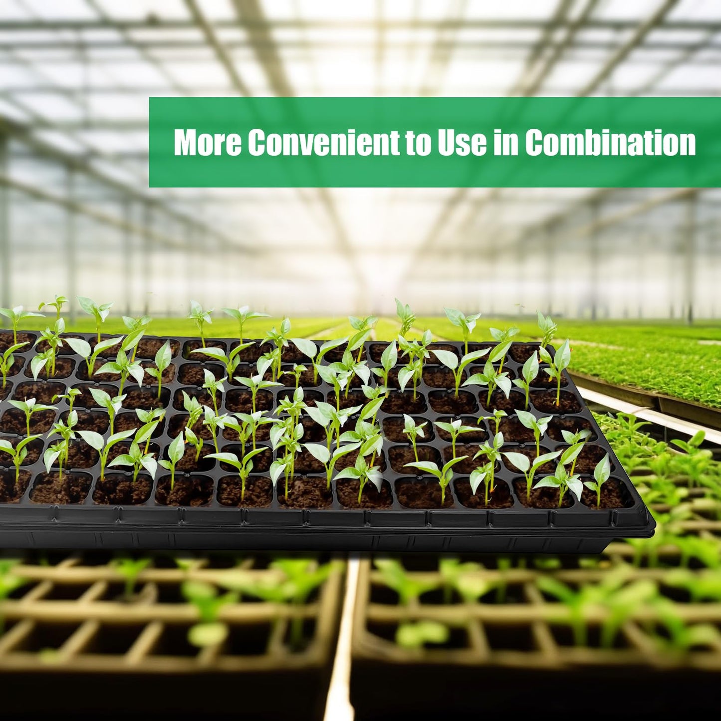 RooTrimmer 10 Pack 1020 Seed Starter Trays and 10 Pcs 72 Cell Plug Trays, Thick Durable Seedling Plastic Nursery Tray for TD538 1020 Tray Germination (10 Sets)