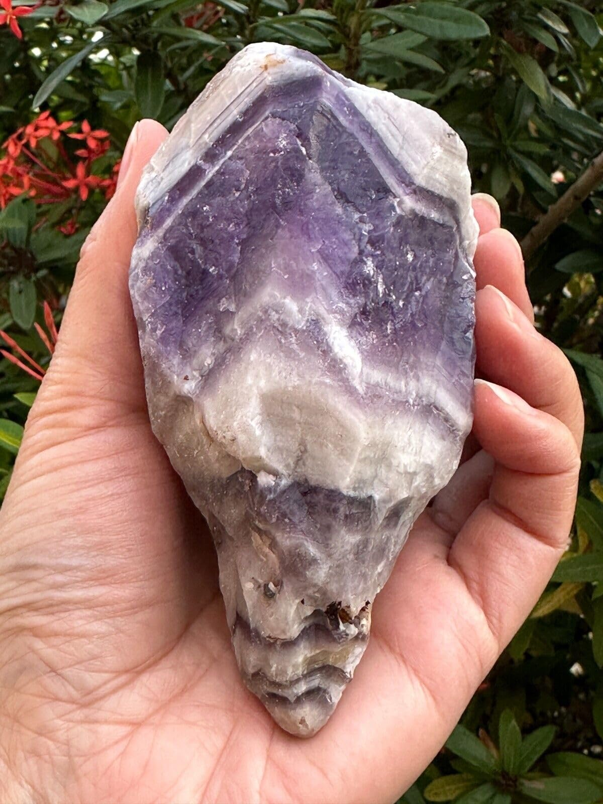 GAF TREASURES XL Raw Chevron Amethyst, 3-4" Natural Rough Chevron Amethyst, Chevron Amethyst Healing Rough Crystal (Chevron Amethyst, 0.5-1 lb)