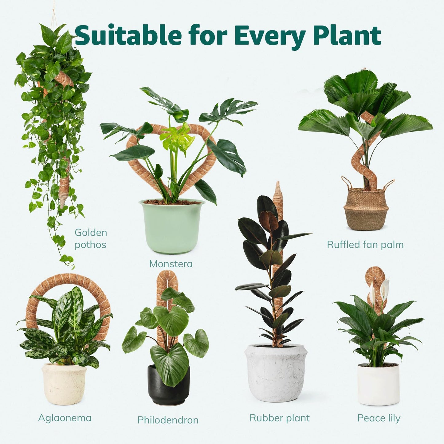 Vanut Monstera Moss Pole, 35in Bendable Bendable & Sturdy Plant Stakes for Monstera, Indoor Plant Tools, Pothos Vines, Philodendron, Fishbone Cactus & Indoor Tropical Houseplants, Coco Coir