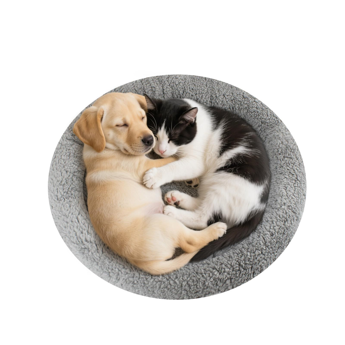 Enjoying Cat Mat Bed 16" x 22" Pet Bed with Pillow Around for Dogs Cats Curled Sleeping Beds for Carrier/Crate Small to Medium Dog Cushion, Anti Skid Bottom, Medium