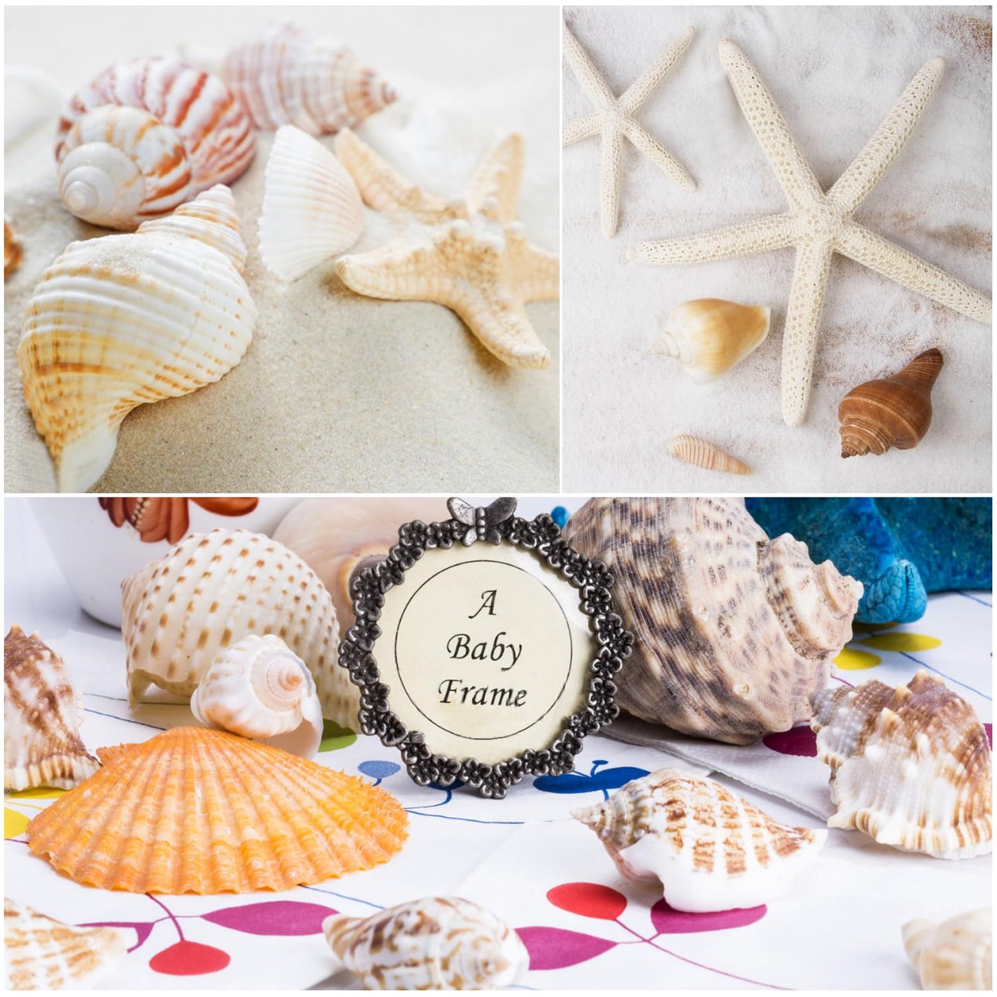 Fangoo 1.5 LB Mixed Sea Shells, 130+ PCS Beach Seashells Starfish Oyster Shells Various Sizes Ocean Seashells for Fish Tank Vase Fillers Beach Theme Party Wedding Decor DIY Crafts Home Decorations
