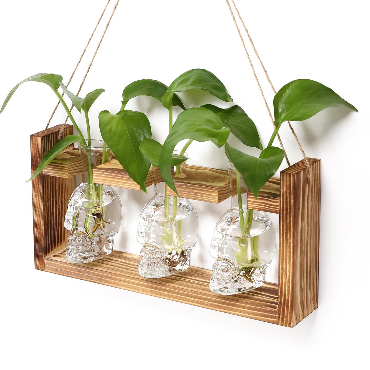 Plant Terrarium Propagation Stations Hydroponics Halloween Skull Planter Vase Skulls Decor with Wooden Stand Gife for Father