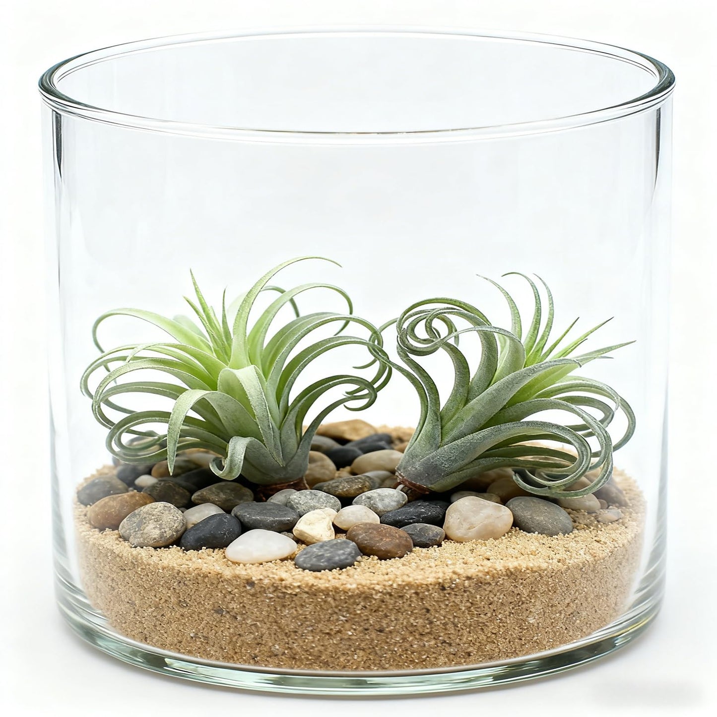 2 Pack Artificial Air Plants, Realistic Looking Faux Tillandsia Succulents Plants for Home Decor, Indoor Outdoor Garden, Terrarium, Office Desk, Wedding Displays (Green)