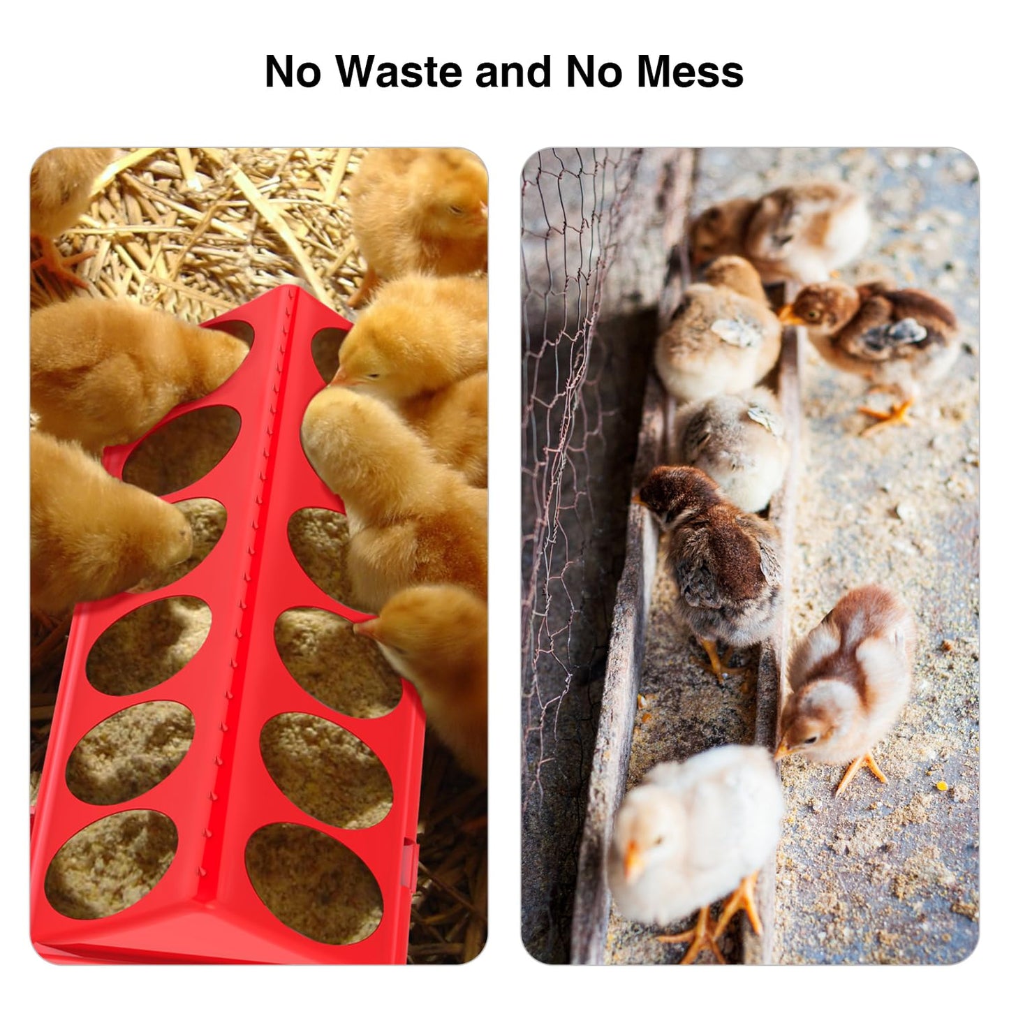 Kculehtlla Chick Feeder and Waterer Kit - Baby Chicken Supplies with Chicks Perch, Plastic Feeder Trough and 1.2L Waterer, Chicken Starter Kit for Coop and Brooder for Small Poultry Ducks Quail