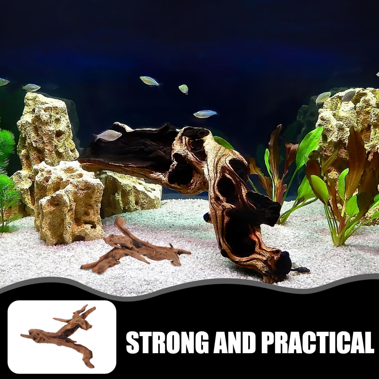 POPETPOP Natural Driftwood for Aquarium Decor - 9.8×5.9" Unique Wood Branch Fish Tank Decorations & Reptile Tank Accessories, Drift Wood Log for Leopard Gecko Terrarium Accessories