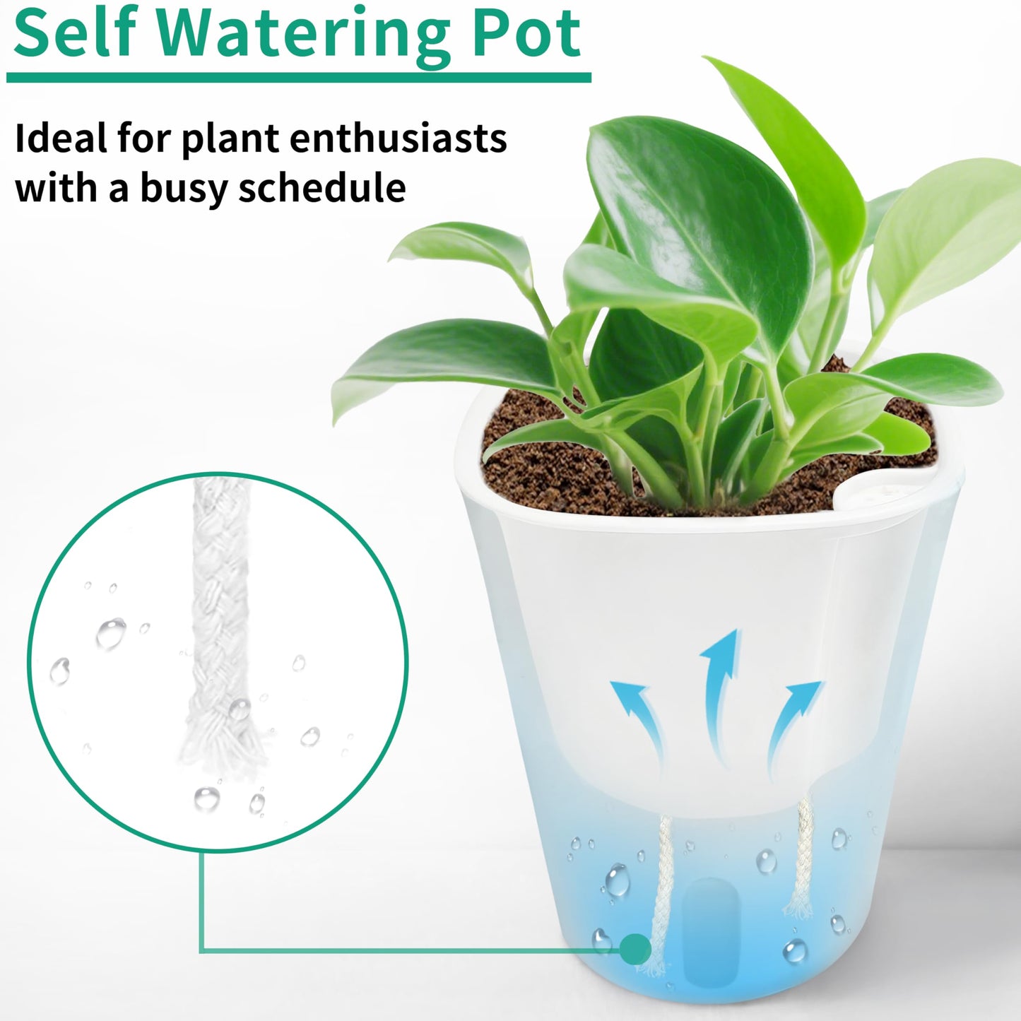 3" Self Watering Pots - 10 Sets Planter Pots for Indoor Plants With Water Level Indicator and Multiple Vents - for House Plants, Flowers, Herbs