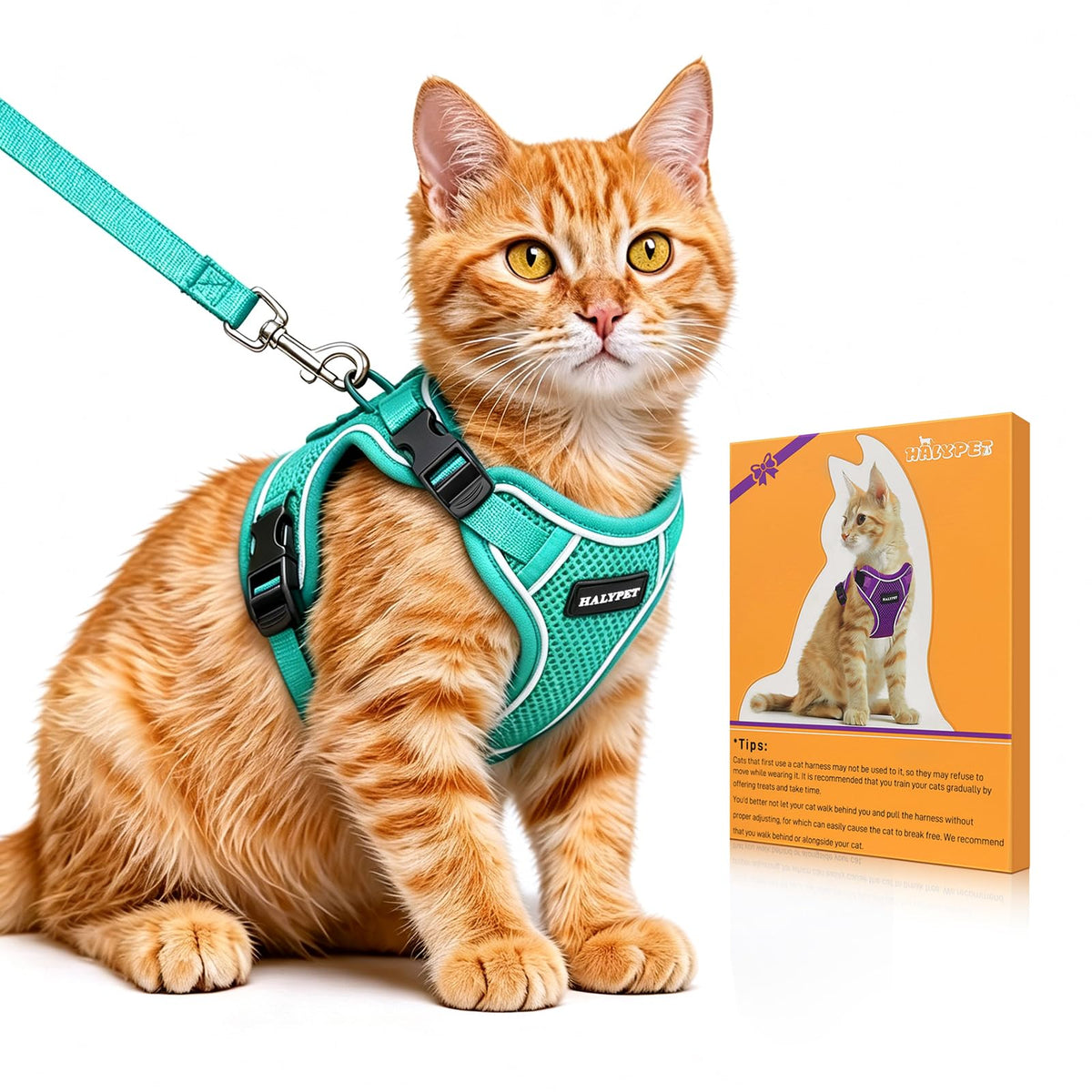 Cat Harness and Leash Set,Escape Proof Kitten Harness,Orange