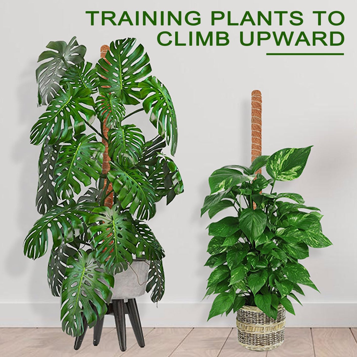 Deergo 4Pack 30 Inch Bendable Moss Pole for Plants Monstera, Coco Coir Plant Support Pole for Small Climbing Plants Grow Up