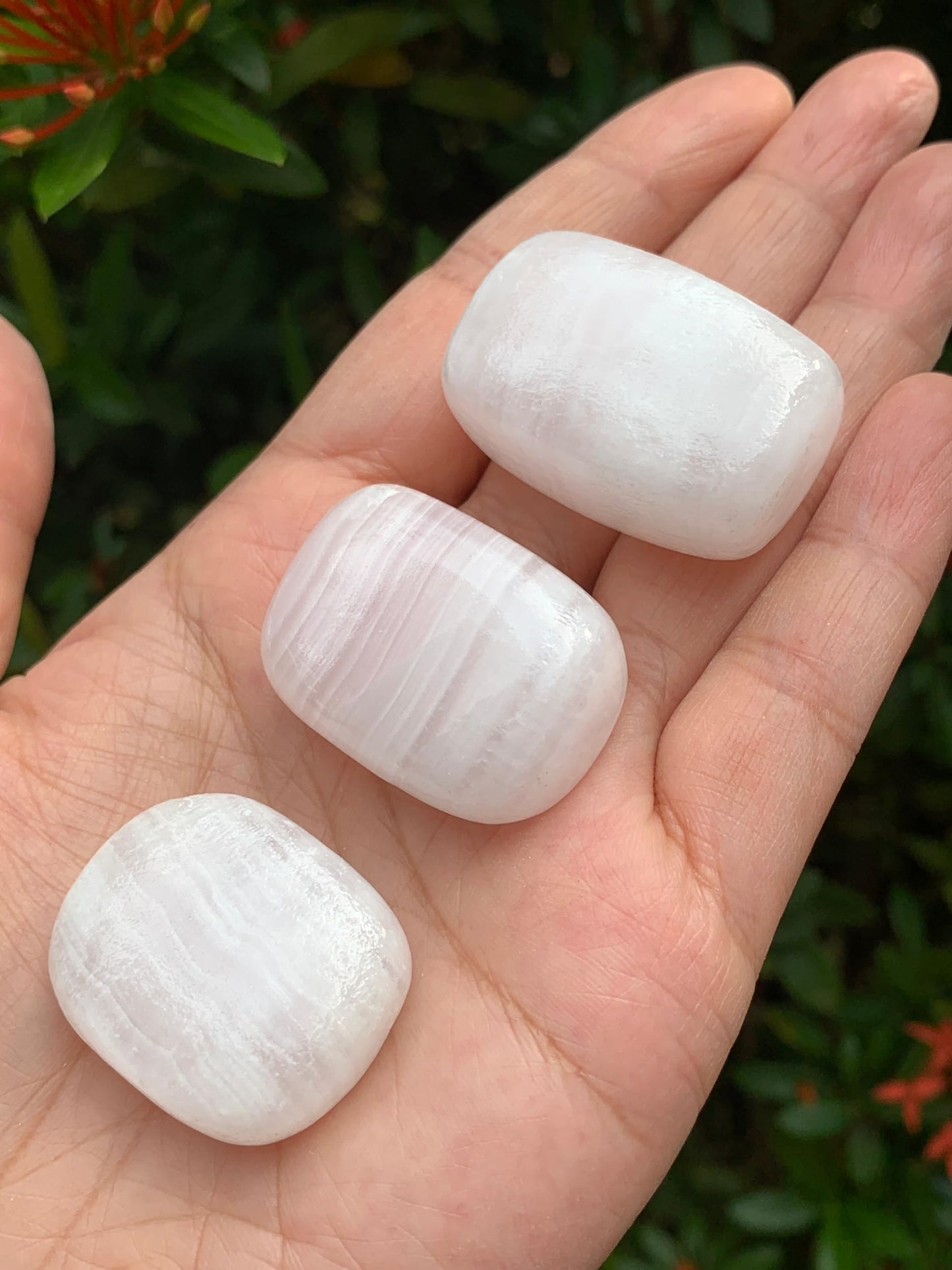 GAF TREASURES 5 Pcs Pink Calcite Tumbled Stones, Polished Natural Pink Calcite Gemstone, Pink Calcite Healing Crystals (Pink Calcite)