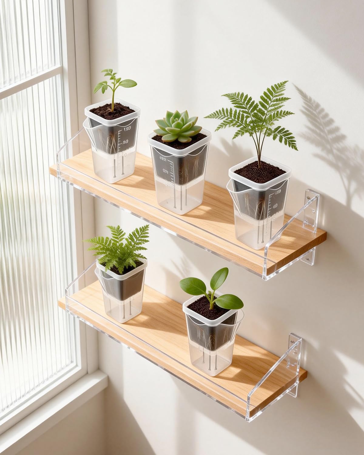10 Pack 2" Small Self Watering Pots for Indoor Plants, Clear Mini Plastic Planter with Labels,Water Level Indicator, ,Mini Self Watering Pot for African Violet,Semi-Hydro,Propagation,Seeding,Cutting