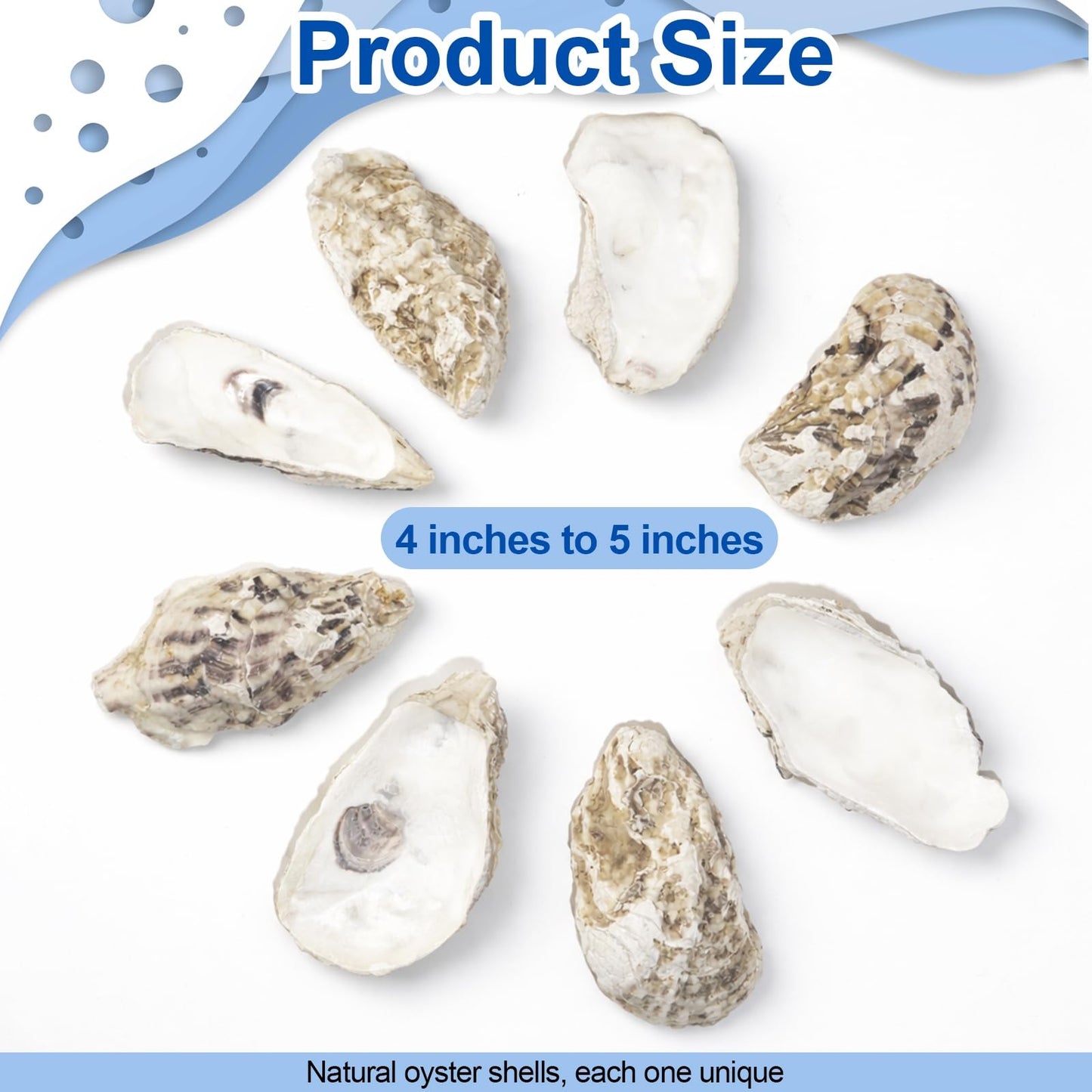 15PCS Natural Oyster Shells 4-5 in Uncarved Oyster Shells for Crafts, Hard Texture for DIY Arts Ornaments, Candle Holders, Coastal Decor & Art Projects