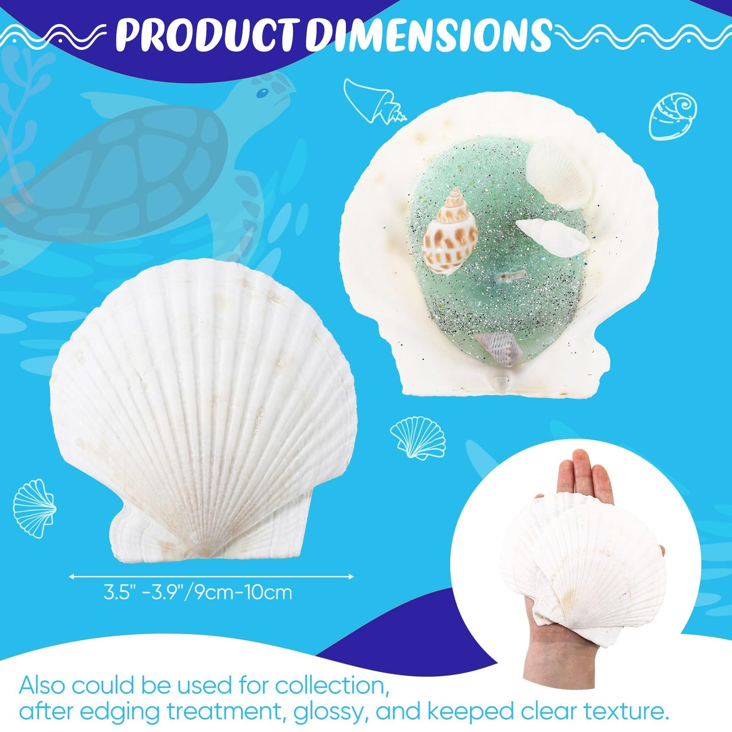 GlikCeil 50 Pcs Sea Shell for Crafting Natural Large Scallop White Oyster Shells Bulk for Decorating DIY Home Decor Beach Wedding Ocean Themed Party(3.5''-3.9'')