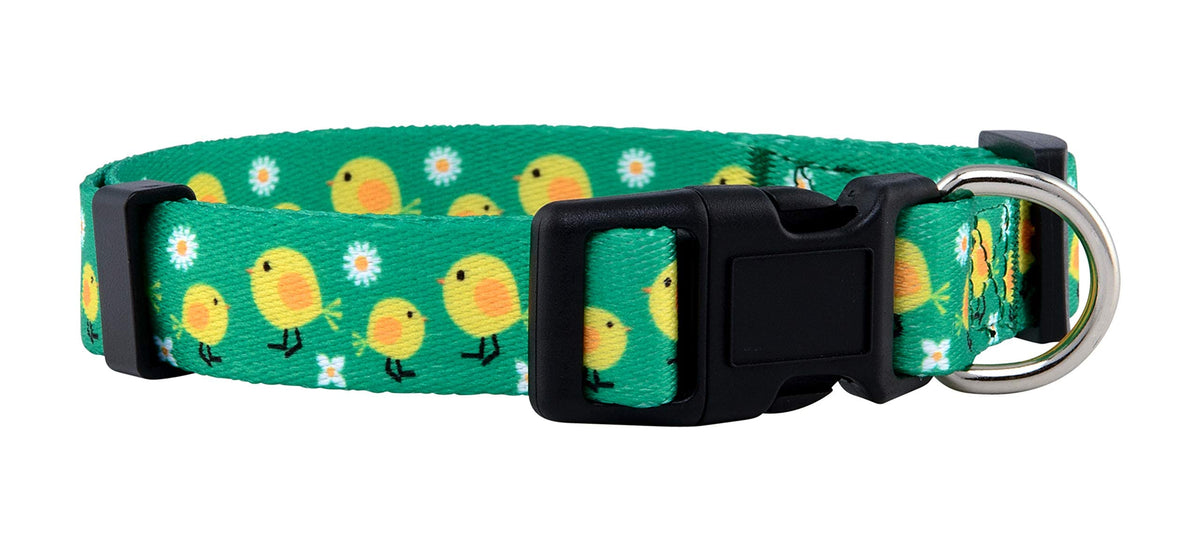 Native Pup Halloween Dog Collar (Small, Bats)
