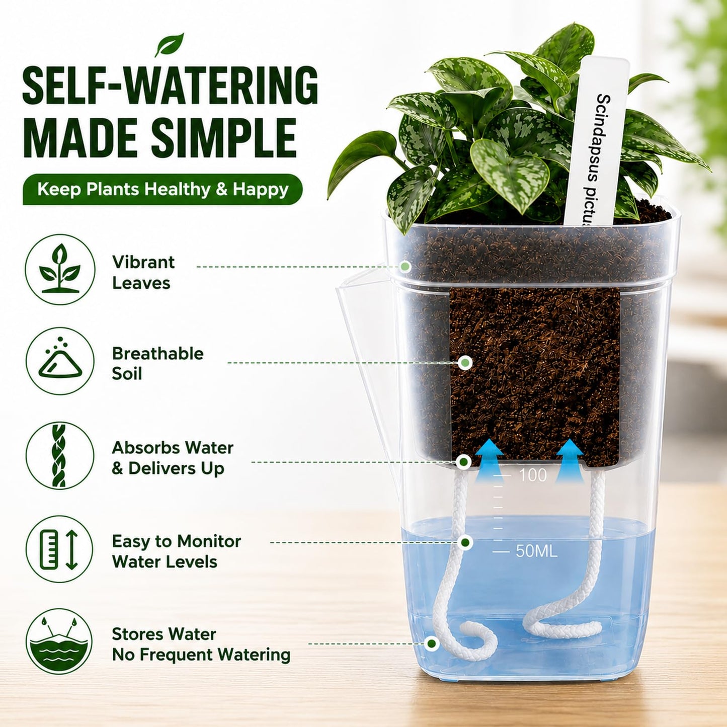 Sileasncei 6 Pack 2.5" Self Watering Seed Starter Cups, Clear Mini Planters for Indoor Plants, Help Prevent Overwatering, Promote Healthy Growth for Seedlings, Cuttings & Small Plants, with 6 Labels