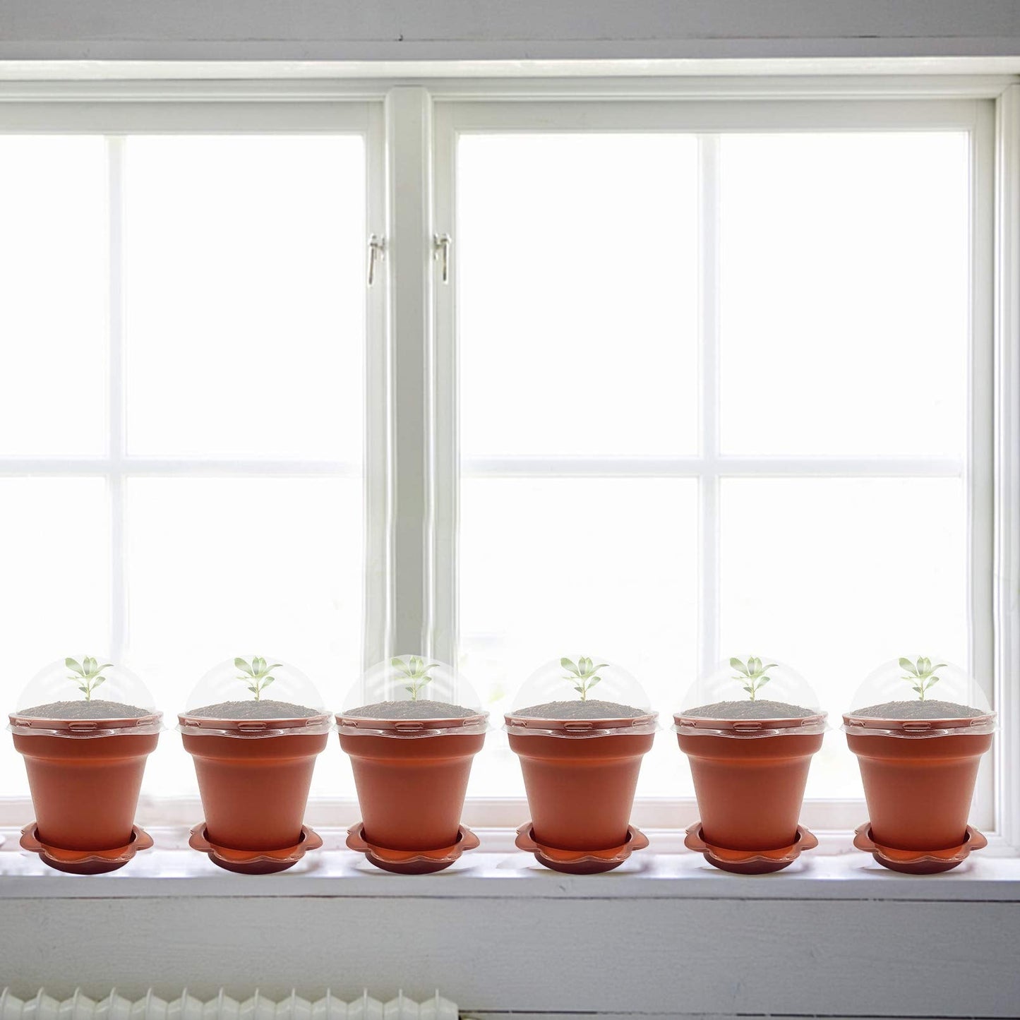 PURPLE STAR 1N 30 Pack Cupcake Plant Nursery Pots with Humidity Dome- Small Plastic Flower Pots with Saucers and Shovel for Indoor Outdoor Seedling Succulent Vegetable