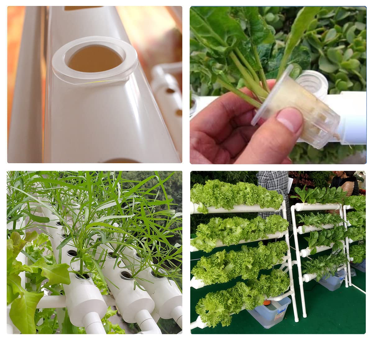 QINIZX 50 Pack 1.77" Garden Net Pots Cups, Slotted Mesh Pot Baskets Seed Growing Media Hydroponics System Supplies for Aquaponics/Orchids/Rockwool Cubes, Heavy Duty Round Wide Rim Design (White)
